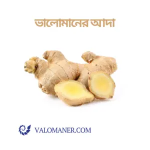 ভালোমানের আদা - Valomaner Ginger